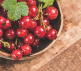 Currants summer fruit in pakistan