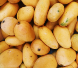 Mango summer fruit in pakistan