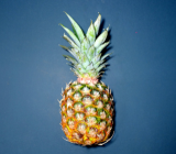 Pineapple fruit in pakistan