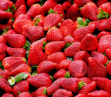 Strawberry Fruit in Pakistan